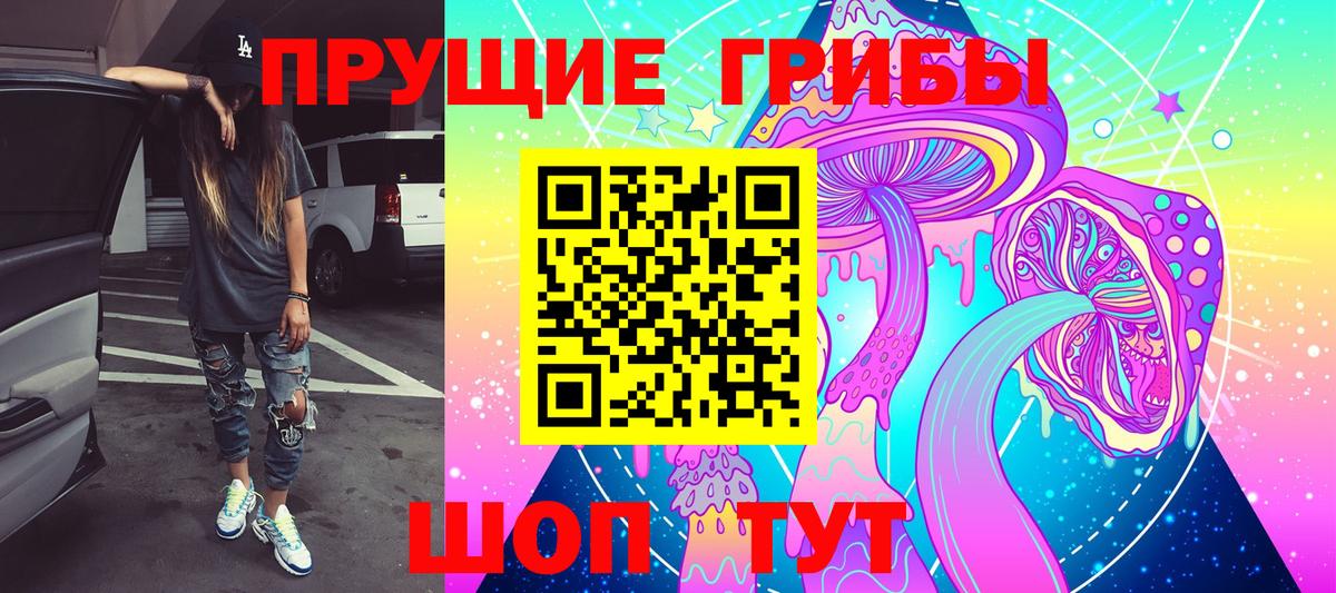 Бийск  Псилоцибиновые грибы GOLDEN TEACHER  Вход с VPN  Галлюциногенные грибы MAGIC MUSHROOMS 