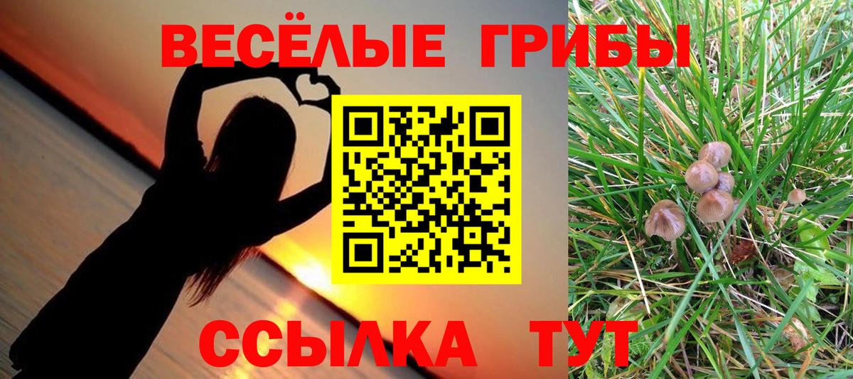 Псилоцибиновые грибы ЛСД Бийск